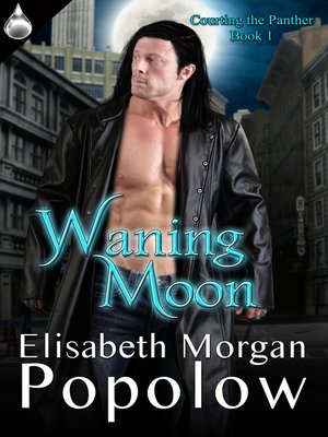 cover image of Waning Moon
